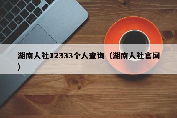 湖南人社12333个人查询（湖南人社官网）