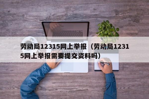 劳动局12315网上举报（劳动局12315网上举报需要提交资料吗）