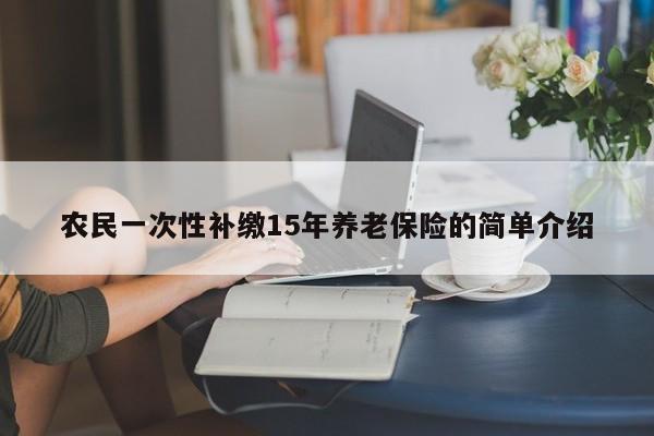 农民一次性补缴15年养老保险的简单介绍