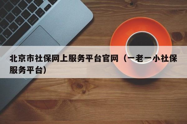 北京市社保网上服务平台官网（一老一小社保服务平台）