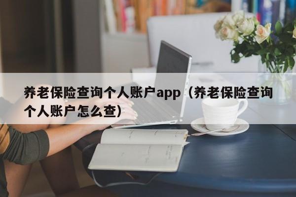 养老保险查询个人账户app（养老保险查询个人账户怎么查）