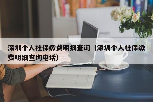 深圳个人社保缴费明细查询（深圳个人社保缴费明细查询电话）