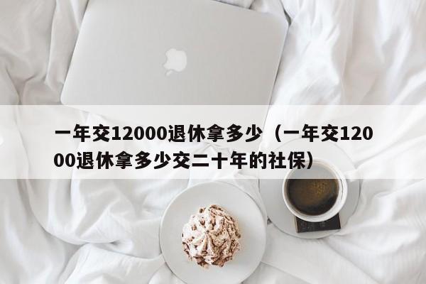 一年交12000退休拿多少（一年交12000退休拿多少交二十年的社保）