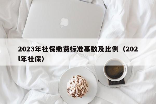 2023年社保缴费标准基数及比例（202l年社保）