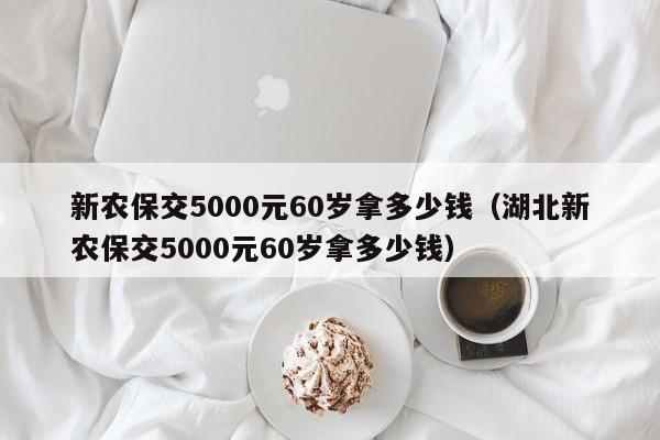 新农保交5000元60岁拿多少钱（湖北新农保交5000元60岁拿多少钱）