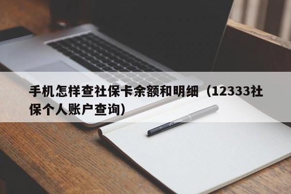 手机怎样查社保卡余额和明细（12333社保个人账户查询）