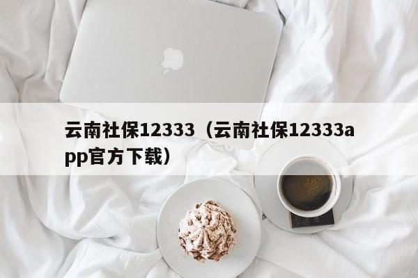 云南社保12333（云南社保12333app官方下载）