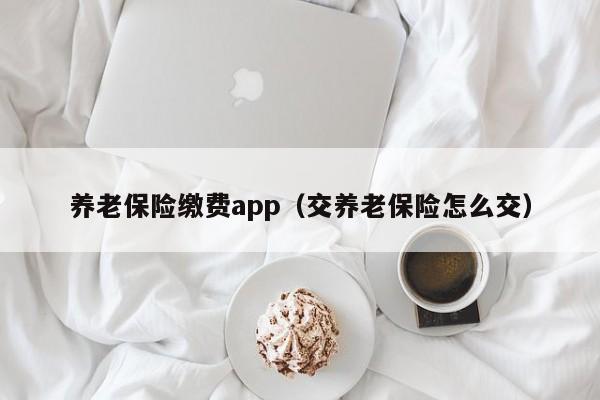 养老保险缴费app（交养老保险怎么交）