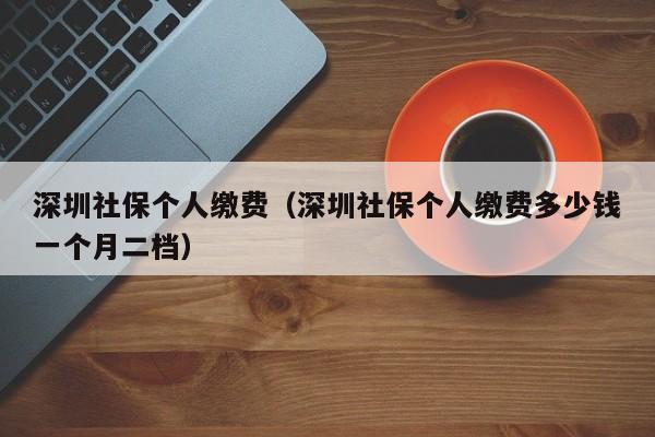 深圳社保个人缴费（深圳社保个人缴费多少钱一个月二档）