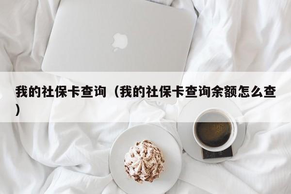 我的社保卡查询（我的社保卡查询余额怎么查）