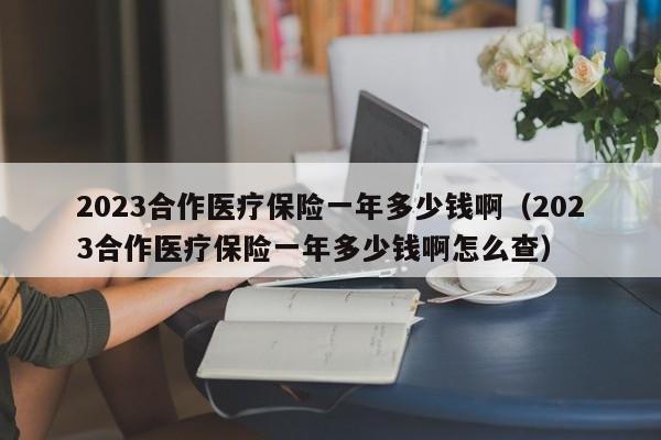 2023合作医疗保险一年多少钱啊（2023合作医疗保险一年多少钱啊怎么查）