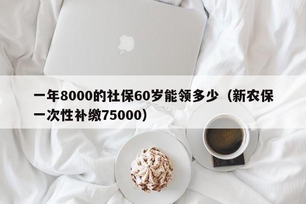 一年8000的社保60岁能领多少（新农保一次性补缴75000）