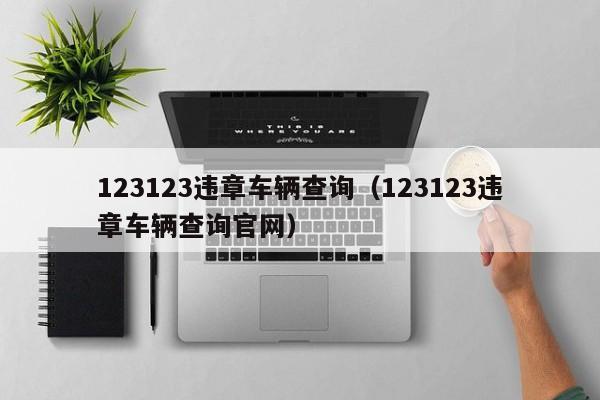 123123违章车辆查询（123123违章车辆查询官网）