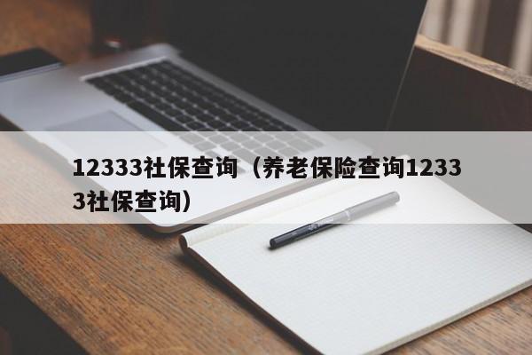 12333社保查询（养老保险查询12333社保查询）