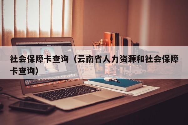 社会保障卡查询（云南省人力资源和社会保障卡查询）