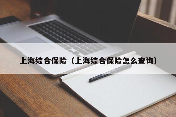 上海综合保险（上海综合保险怎么查询）