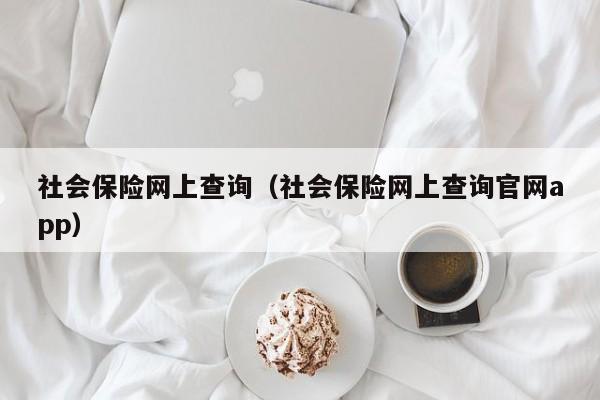 社会保险网上查询（社会保险网上查询官网app）